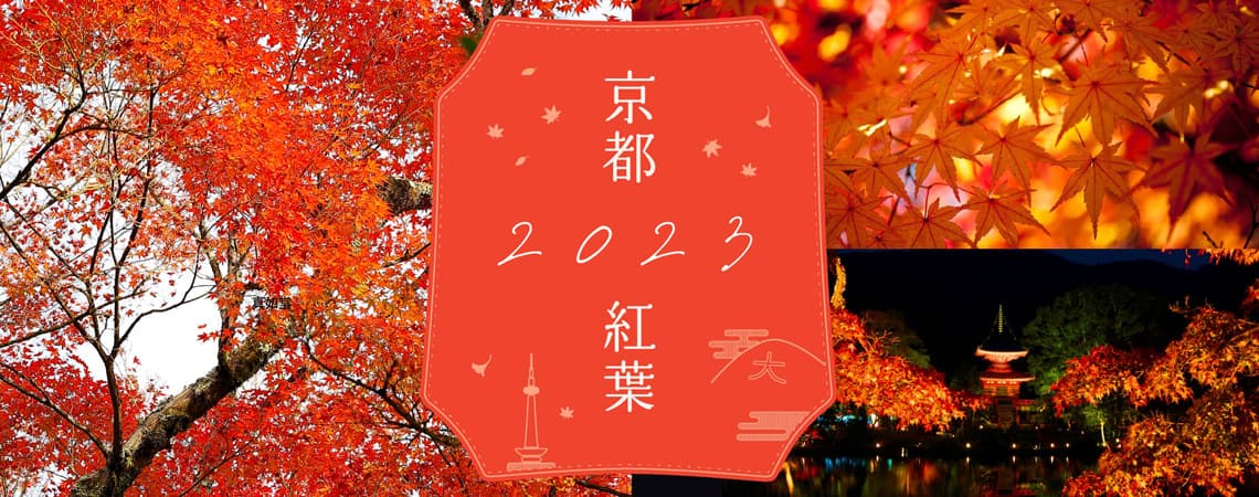 [2023] 京都・红叶季节、最佳观赏时期、点灯信息！ 60个著名的红叶景点