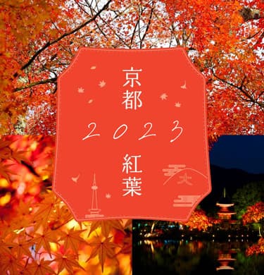 [2023] 京都・红叶季节、最佳观赏时期、点灯信息！ 60个著名的红叶景点