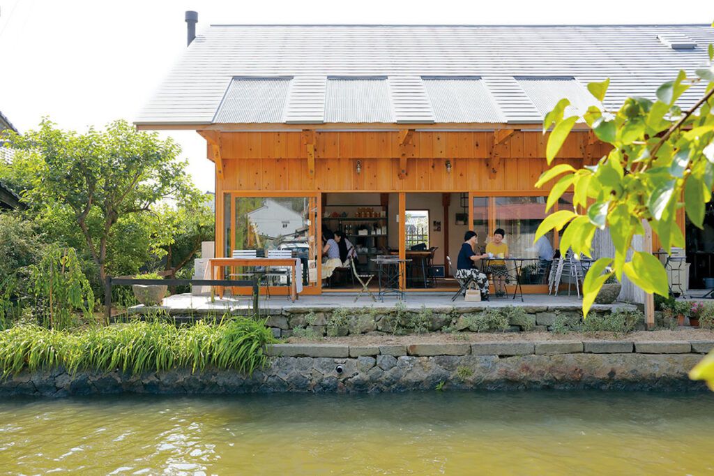 水边小屋苍鹭