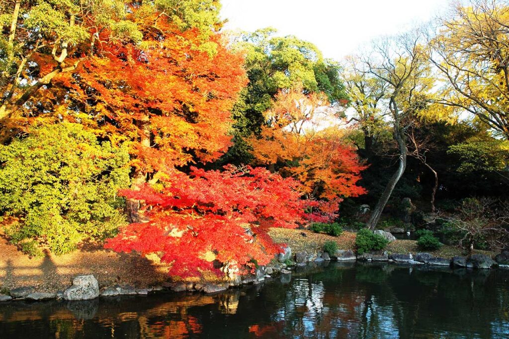 Kyoto Gyoen