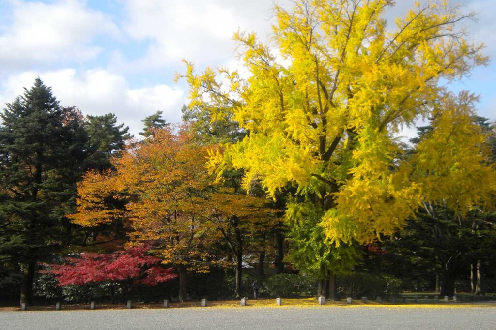 京都御苑