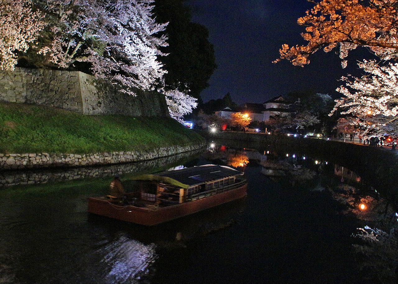 滋賀の夜桜 桜ライトアップ情報21 M エム Kyoto By Leaf