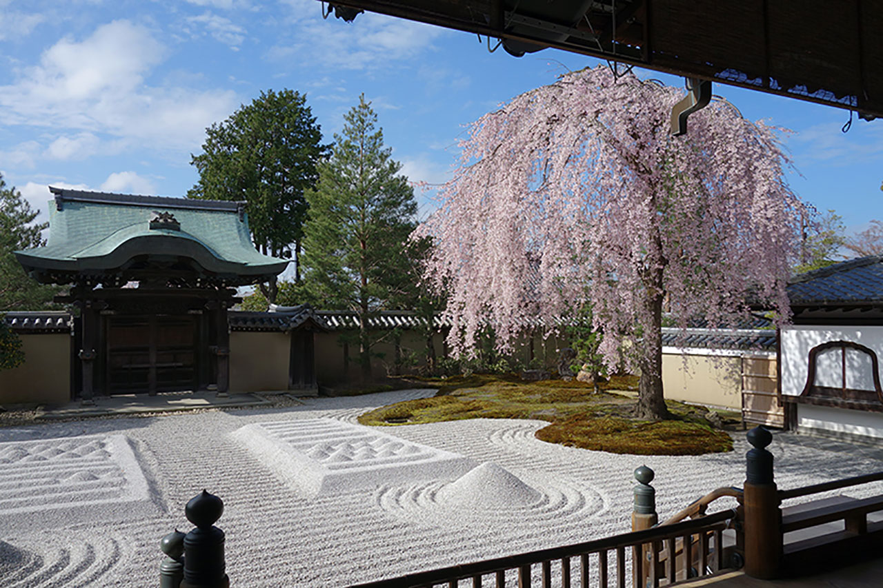 秀吉とねね ゆかりの寺院 高台寺 M エム Kyoto By Leaf