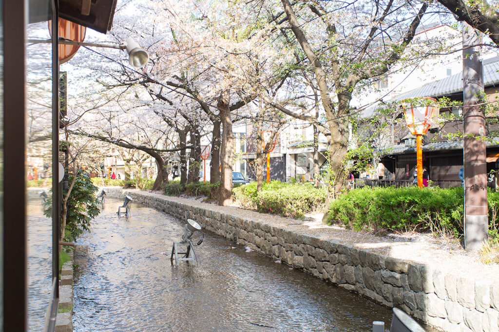 家常菜和纯西餐 Aisani