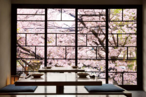 Let's enjoy spring! Cherry Blossom Viewing Restaurant in Kyoto (Part 1)