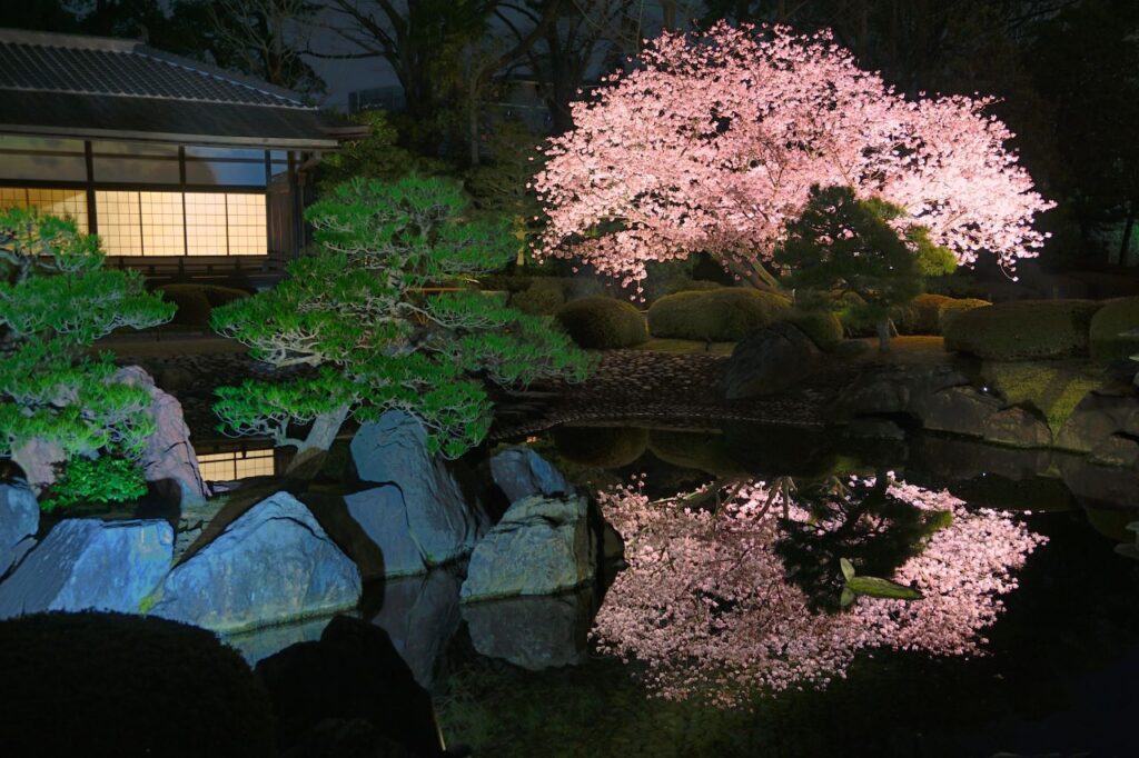 Nijo Castle light up