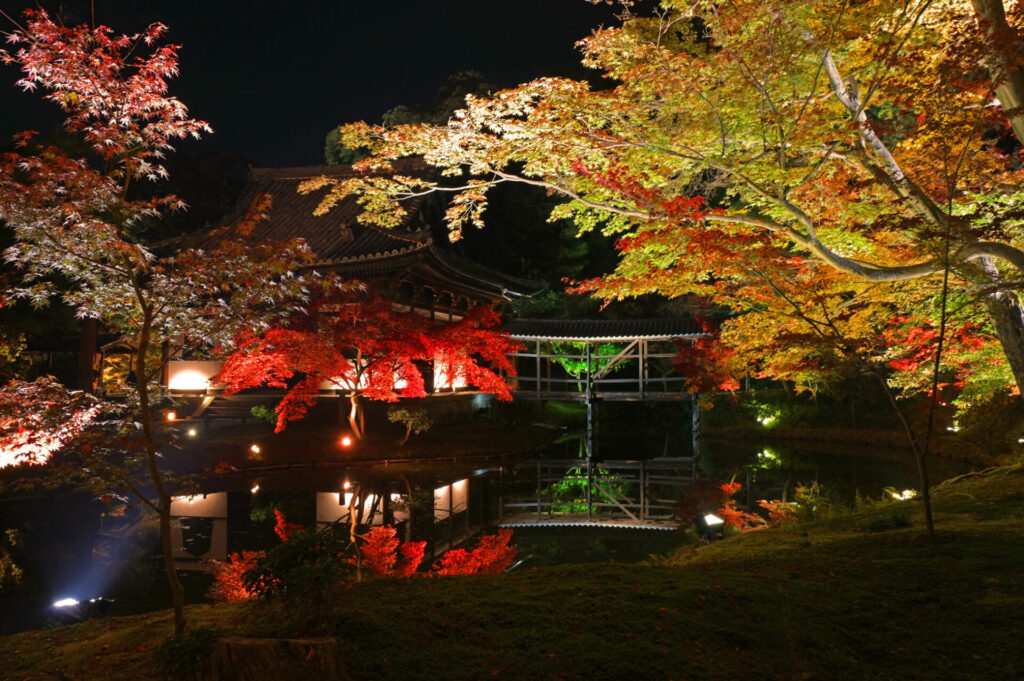 Light up Kodaiji Temple