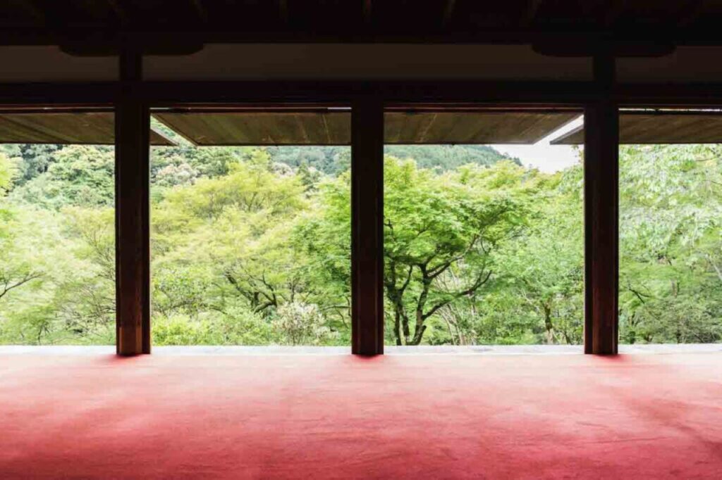 Blue maple at Kozanji Temple