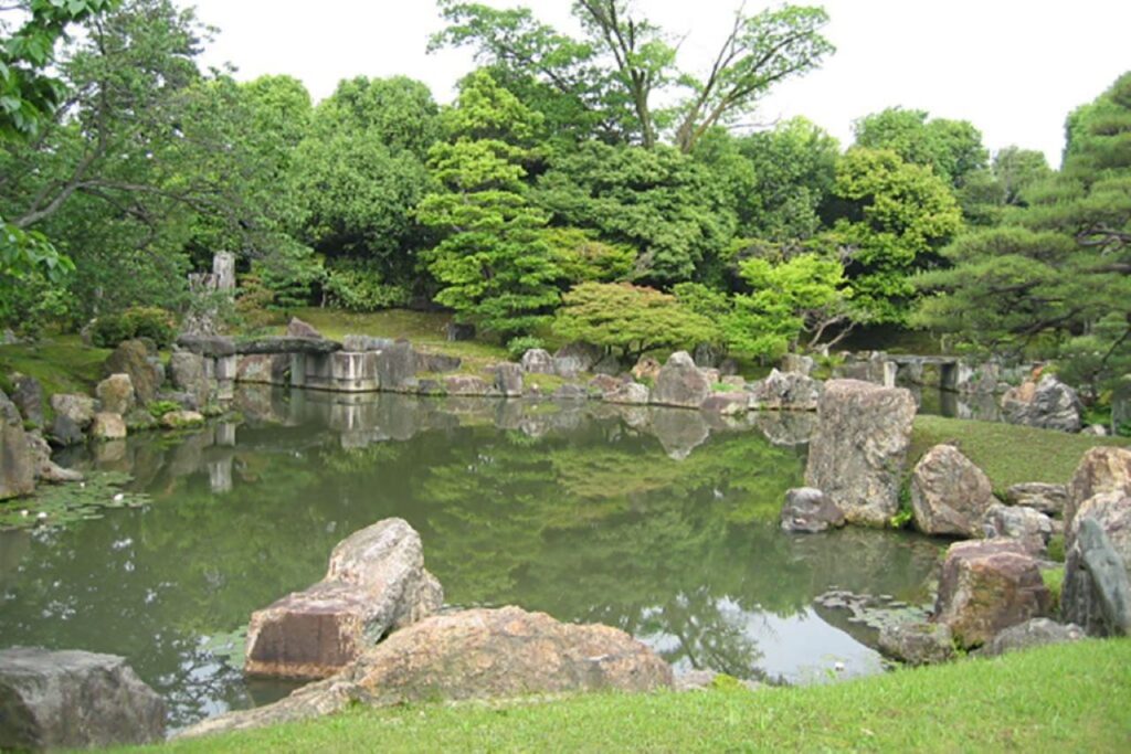 Blue maple at Nijo Castle