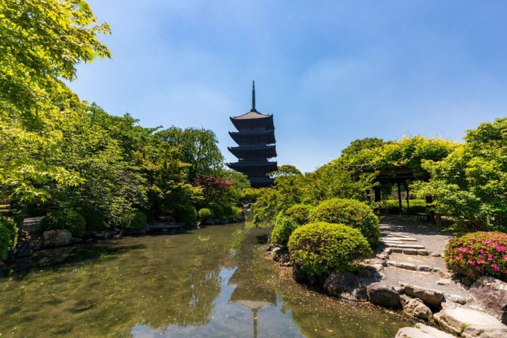 Green maple at Toji Temple