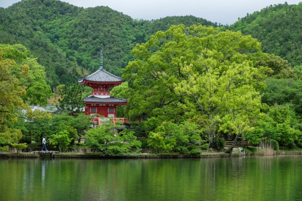 Blue maple at Daikakuji Temple