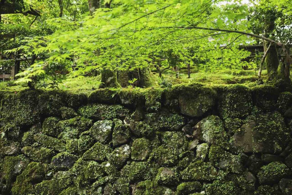 高山寺