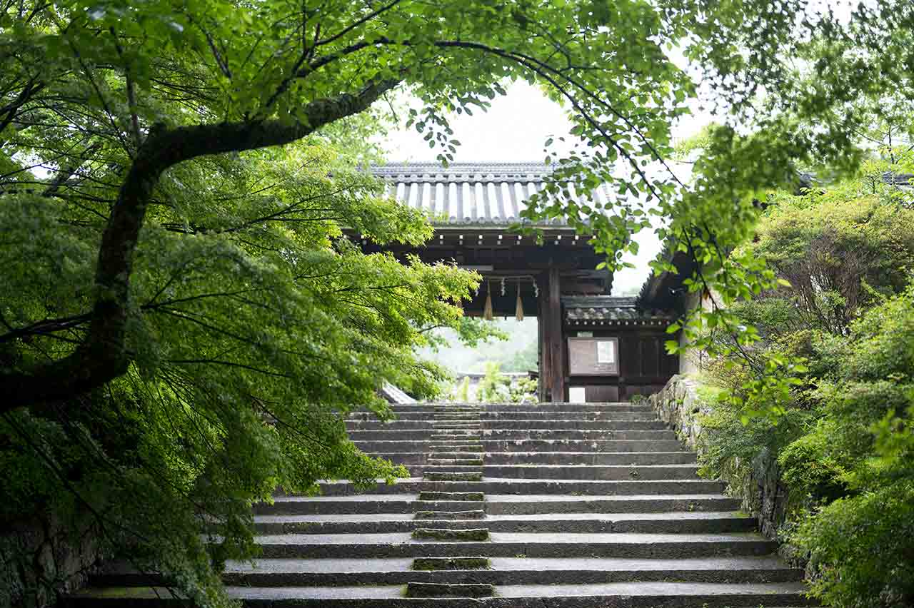 京都の穴場 青もみじスポットー 毘沙門堂 で青もみじと古のトリックアートを鑑賞するー M エム Kyoto By Leaf 京都の穴場 青もみじスポットー 毘沙門堂 で青もみじと古のトリックアートを鑑賞するー M エム Kyoto By Leaf
