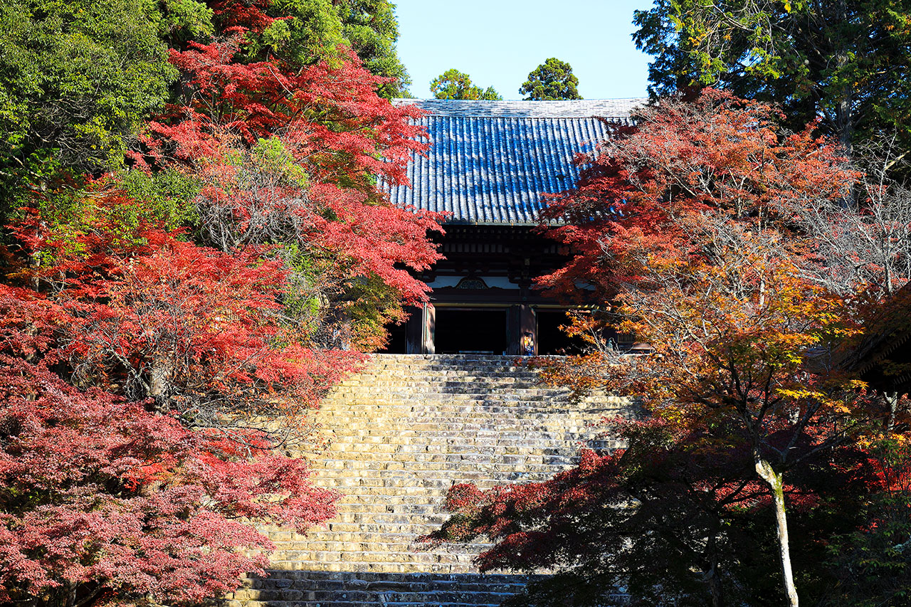 高雄山の中腹に建つ平安仏教の聖地［神護寺］ | Leaf KYOTO