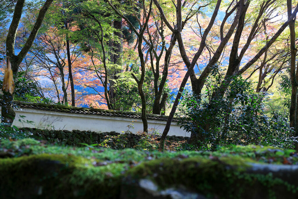 Kozanji Temple