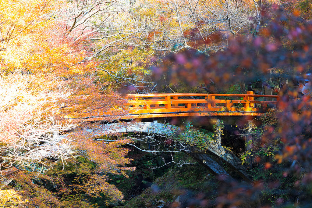 Saimyoji Temple