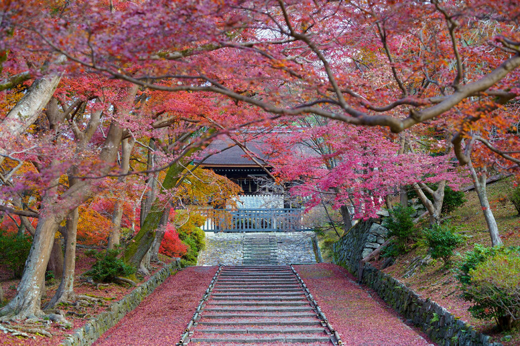 毘沙門堂の紅葉