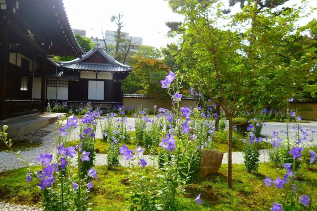 廬山寺