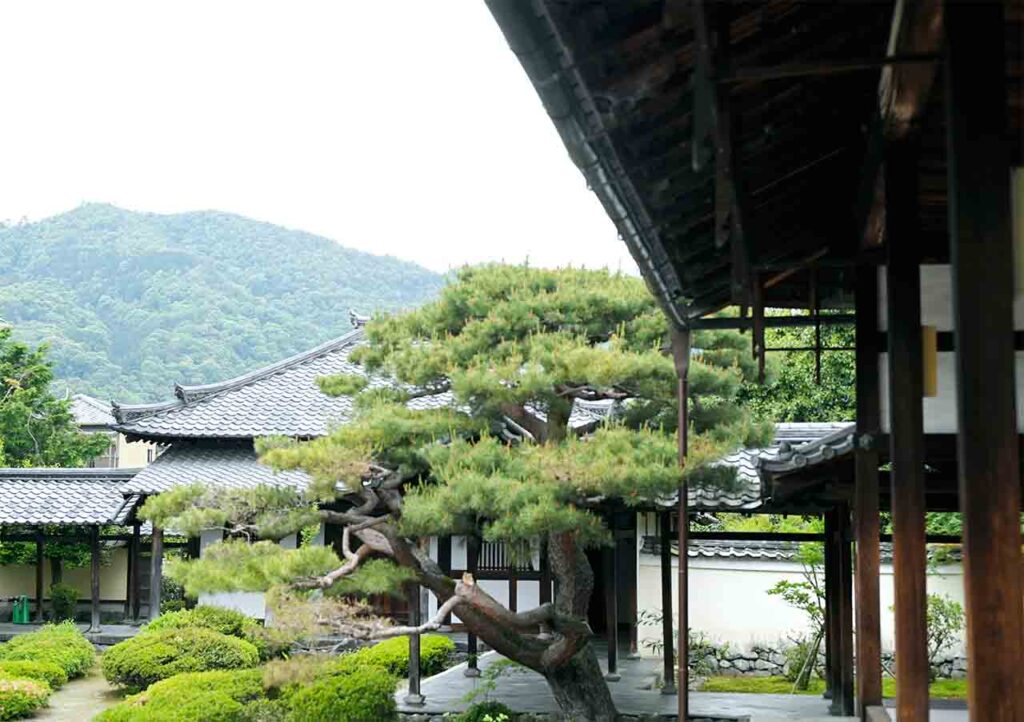 Rokuo-in Temple