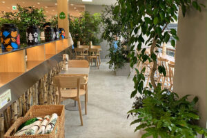 ［Romantic Forest Cafe] opens at JR Kyoto Isetan.