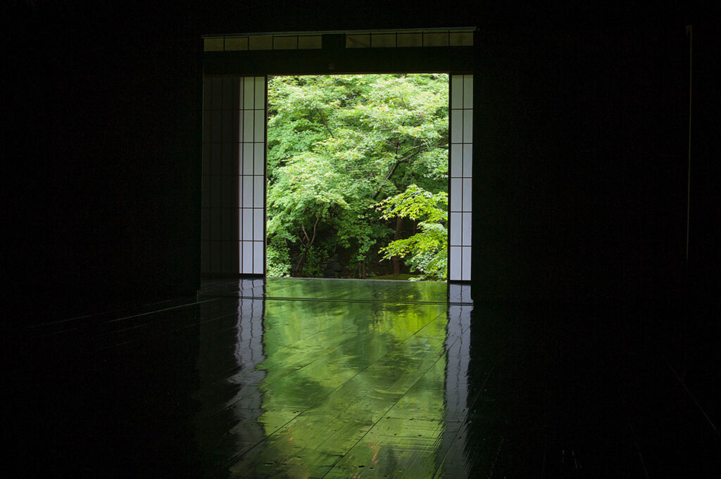 Blue maple at Jisso-in Temple