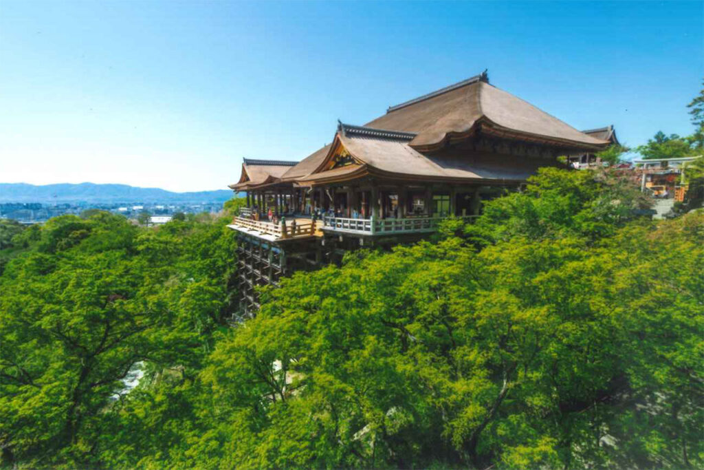 Blue maple at Kiyomizudera