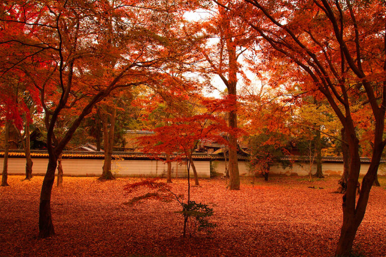 下鴨神社