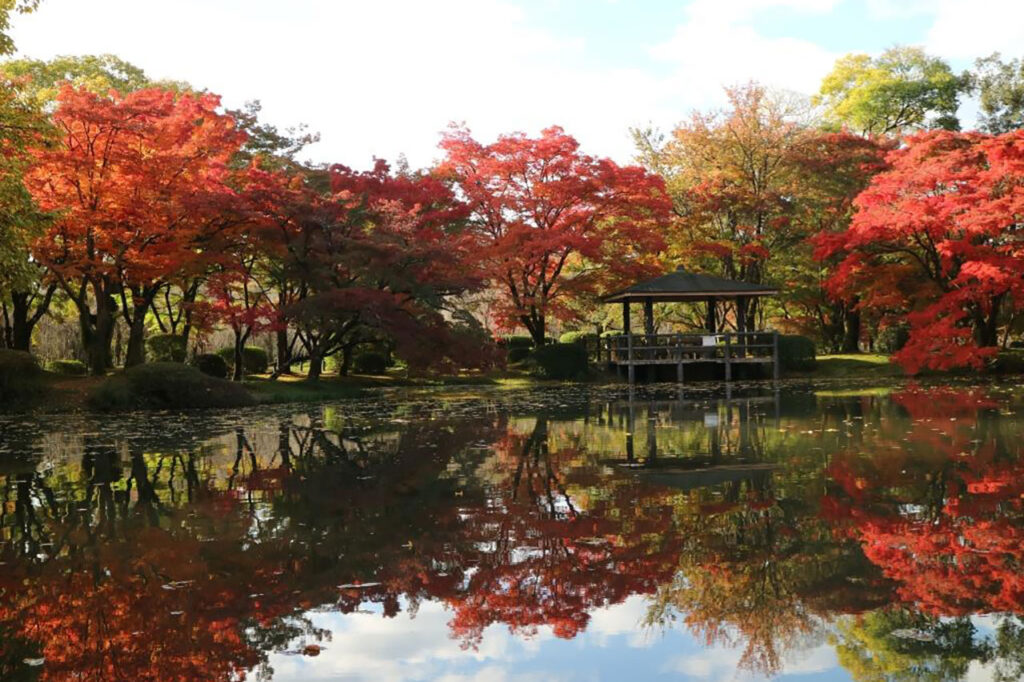 京都府植物园