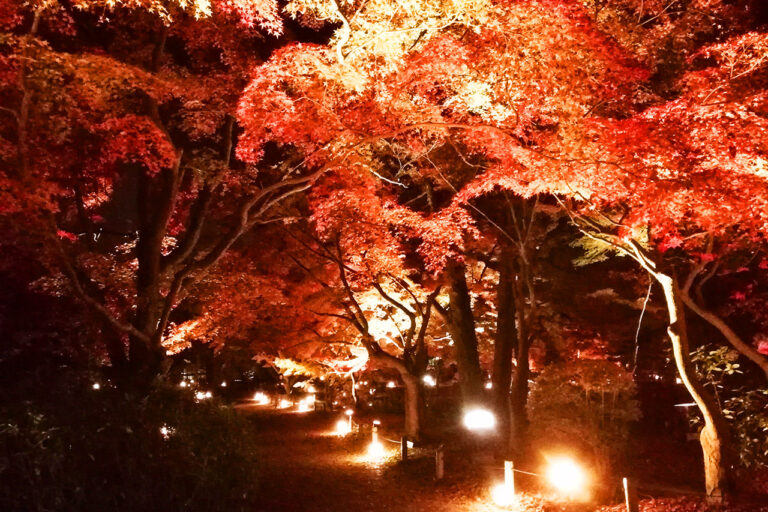 京都府立植物園