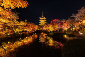 Autumn Foliage Light-up in Kyoto