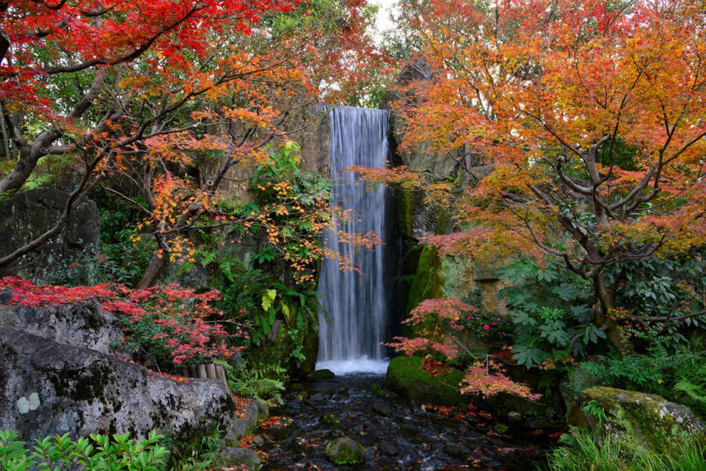 梅小路公园 朱雀花园