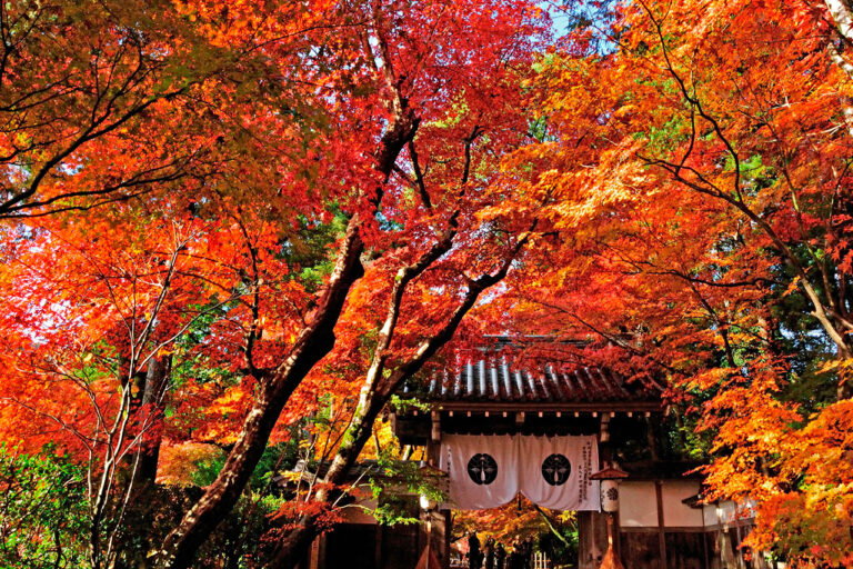 Komyoji Temple