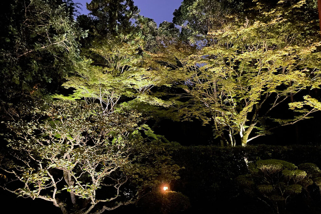 Shinnyo Garden at Myoshinji Temple