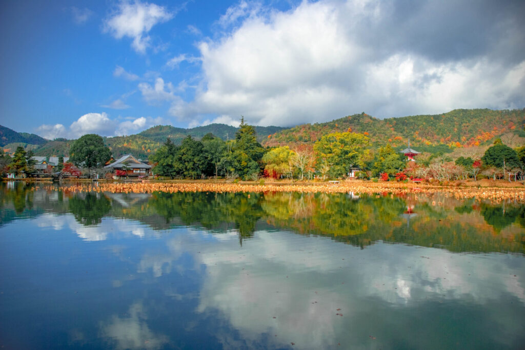 大覚寺大沢池