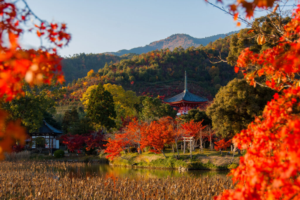 秋の大覚寺大沢池