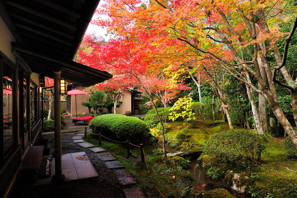 京都の紅葉が見える店