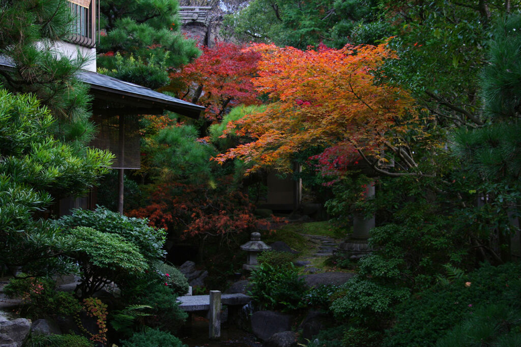 Stores with a view of autumn leaves in Kyoto