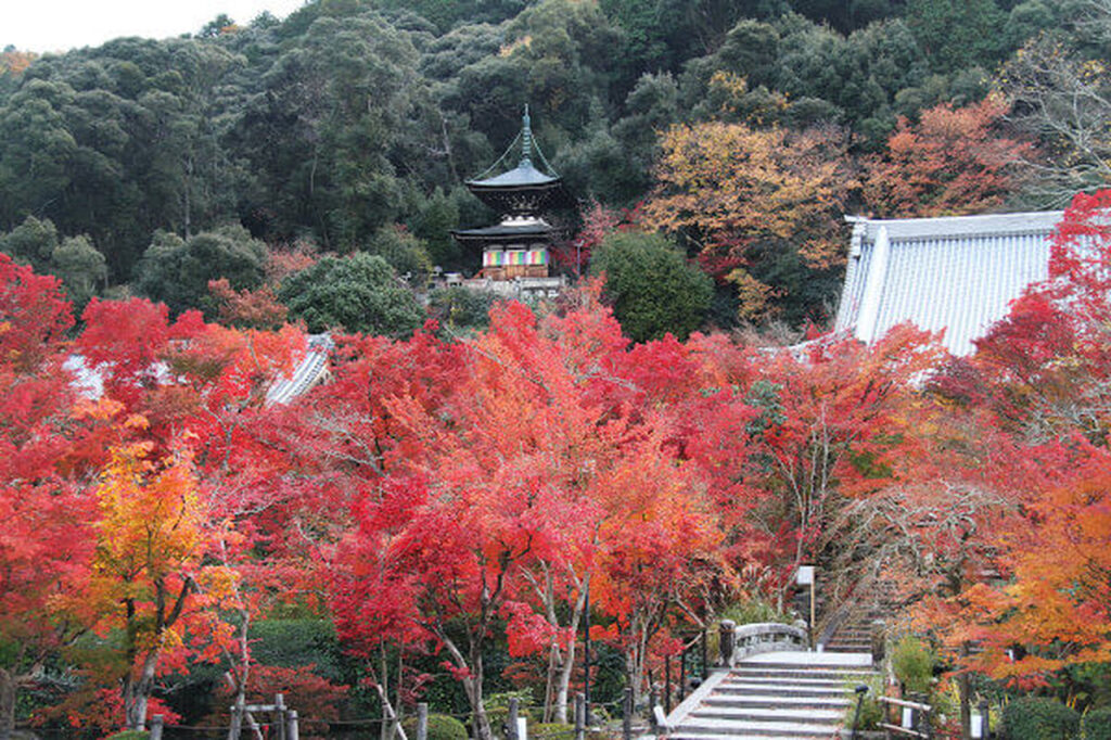 永観堂（禅林寺）