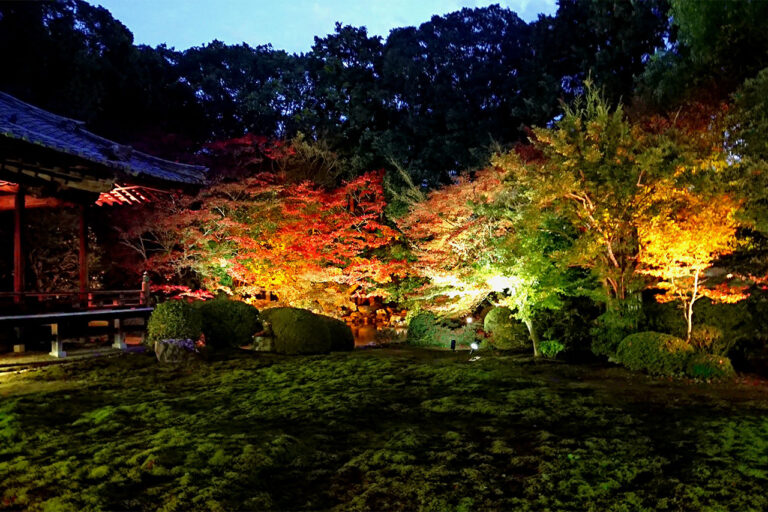 Zuishin-in Temple