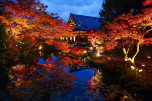 17 illuminated autumn foliage in Kyoto