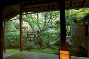 ［Autumn leaves in the beautiful dry landscape garden at Keishunin