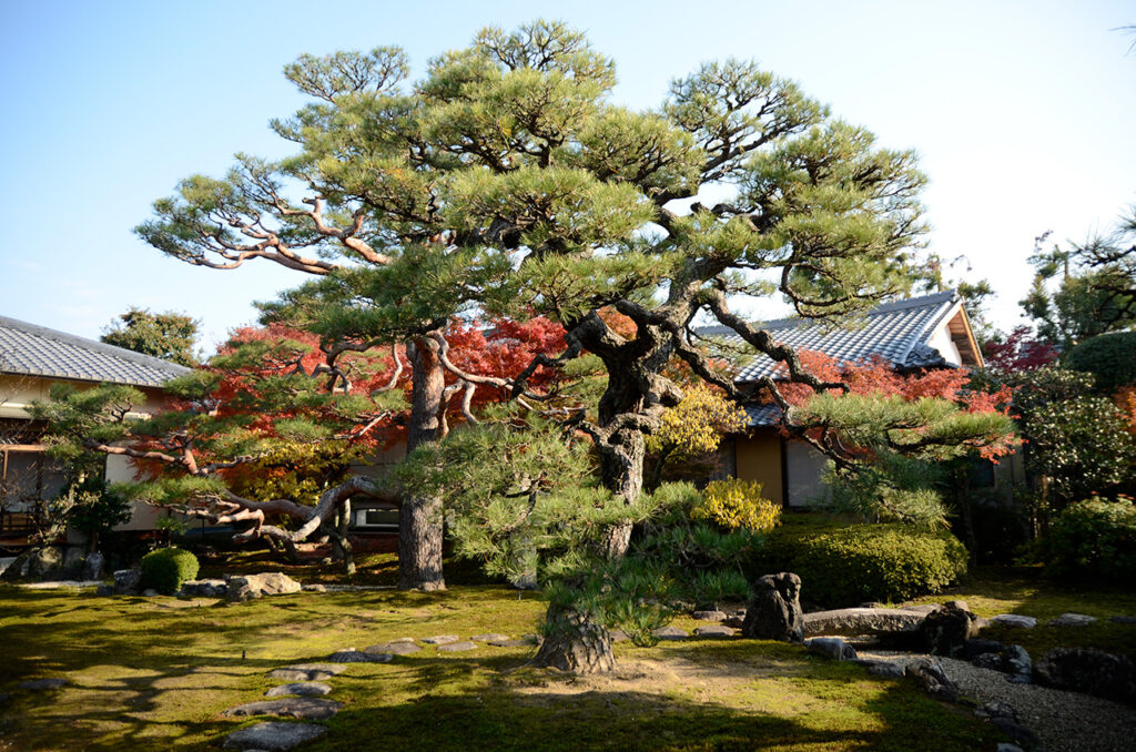 Myokenji Temple