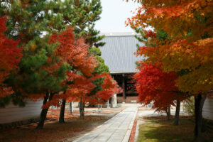 街中の秘境寺［妙顕寺］で楽しむ紅葉