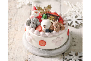 Christmas cake in the city of Kyoto