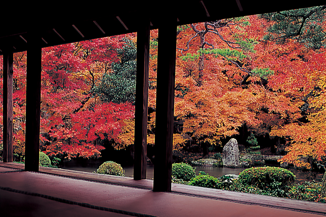 柱を額縁に見立てて庭の紅葉を堪能できる上高野の［蓮華寺