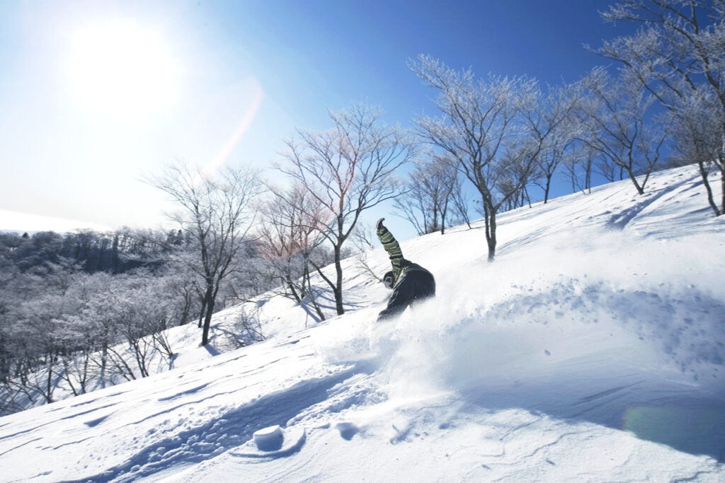 Glansnow Oku-Ibuki "first snowfall