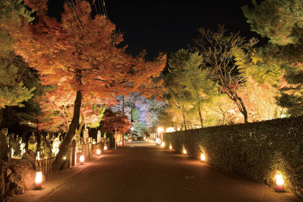 嵐山花灯路