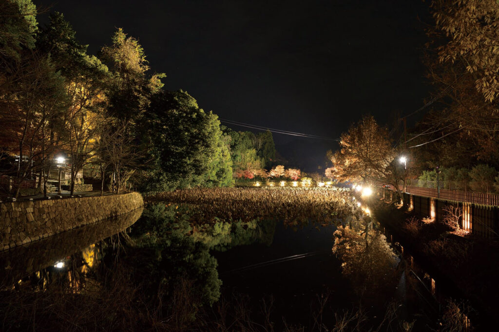 Arashiyama Hanatouro