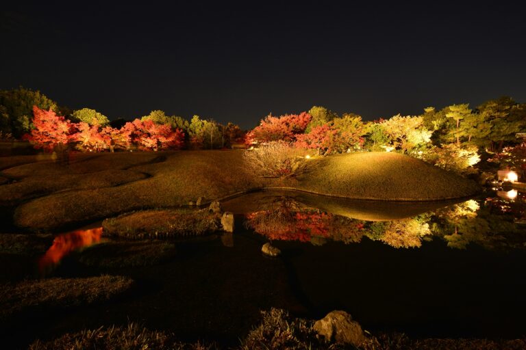 Umekoji Park Light-up