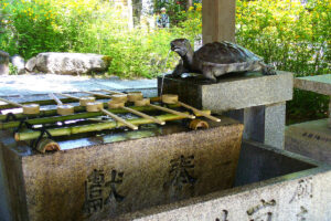 幸運の山吹と松尾大社